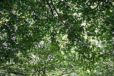 考迪克再遭声讨 员工表示其决策让游戏变得更糟糕